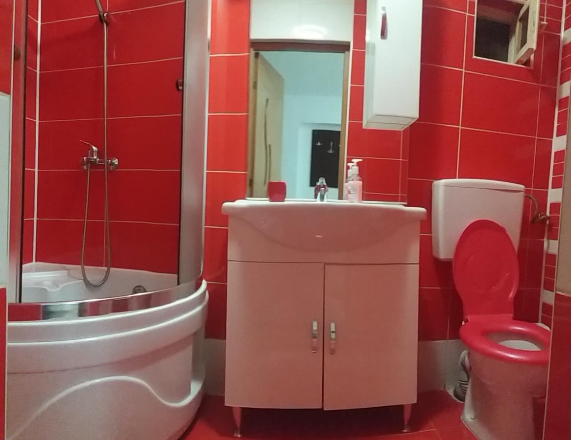 Pensiunea Denis Cîrţişoara Dış mekan fotoğraf