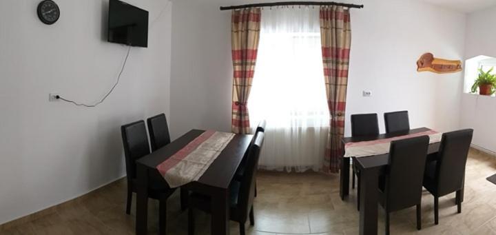 Pensiunea Denis Cîrţişoara Dış mekan fotoğraf